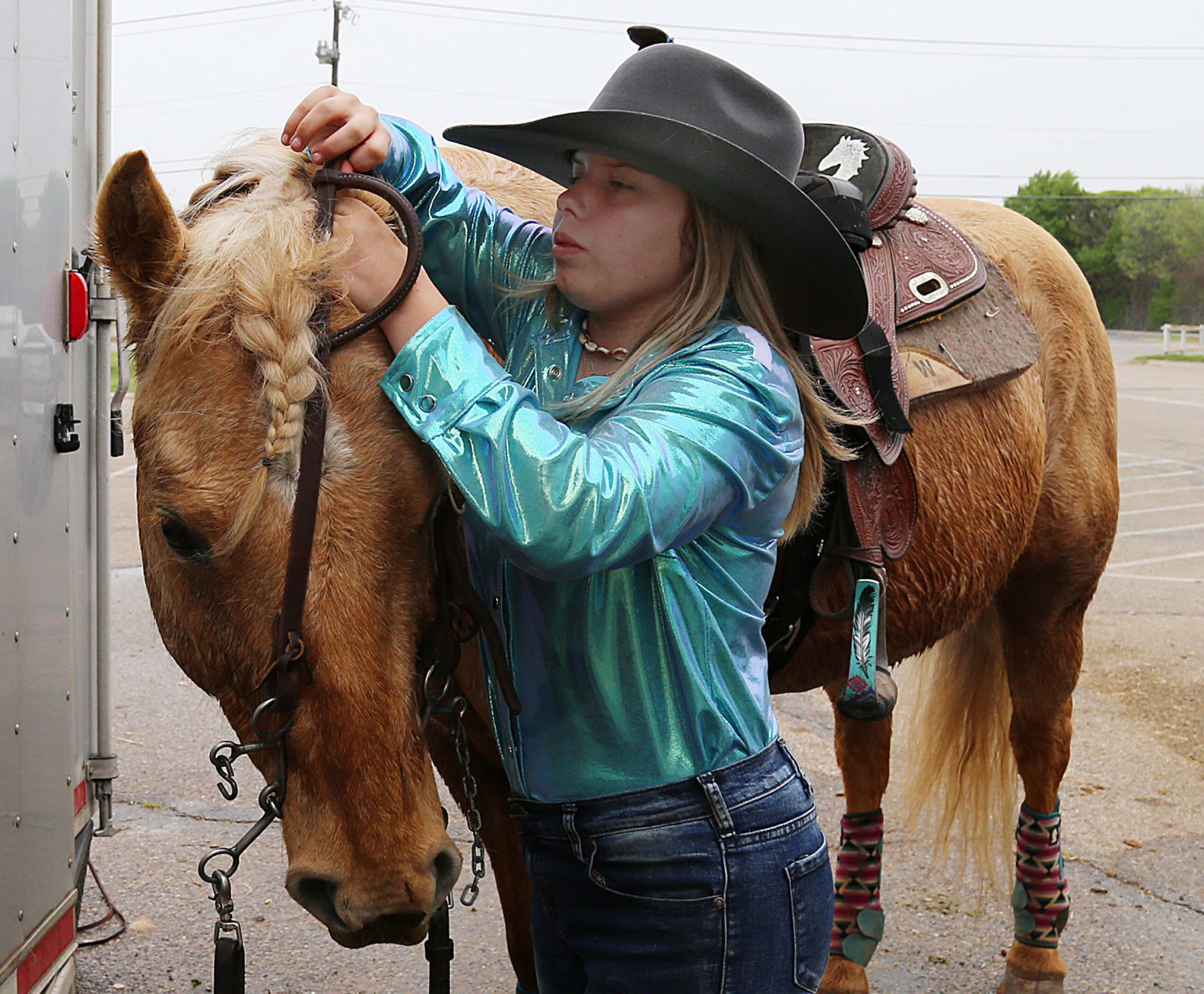 Horses